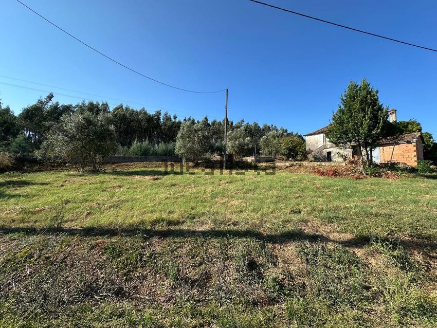 Moradia T3 à venda em Óvoa, Santa Comba Dão — foto 36