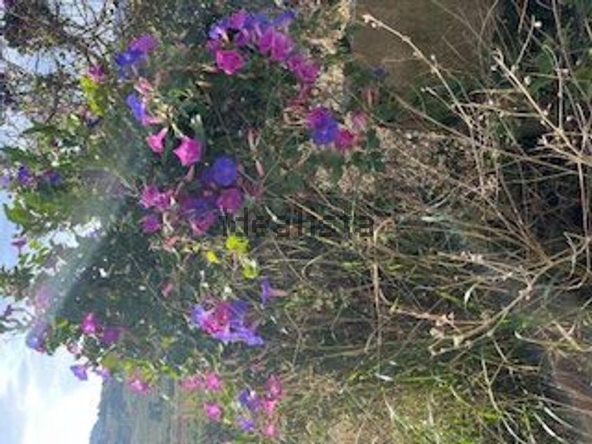 Moradia T0 à venda em Vilar, Cadaval — foto 19