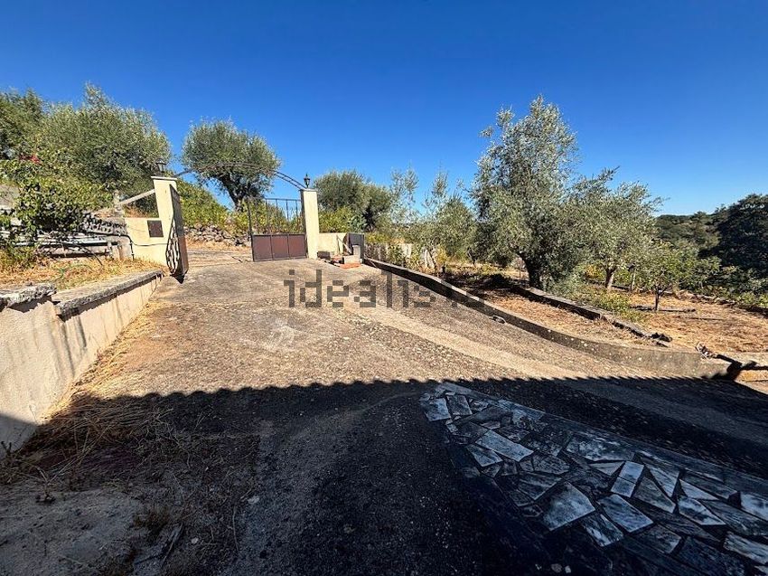 Moradia T3 à venda em Além da Ribeira e Pedreira, Tomar — foto 5