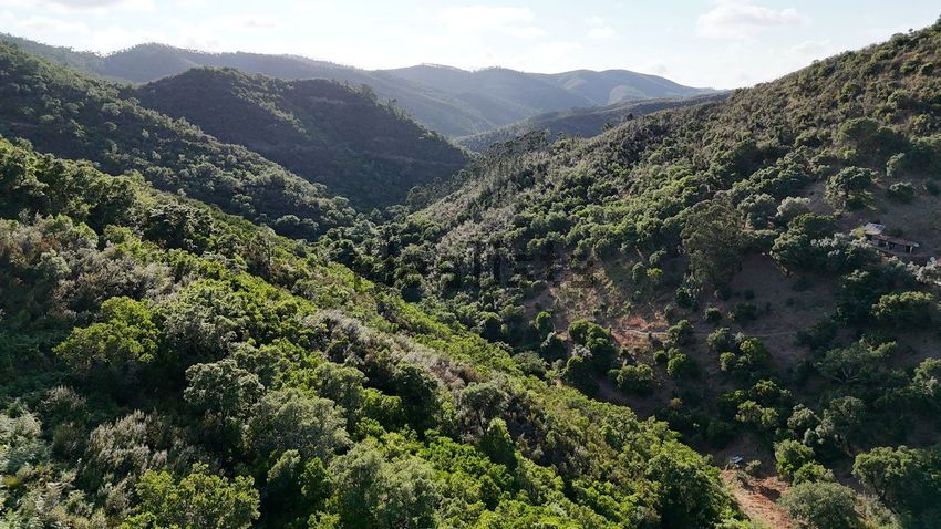 Moradia T1 à venda em Marmelete, Monchique — foto 15