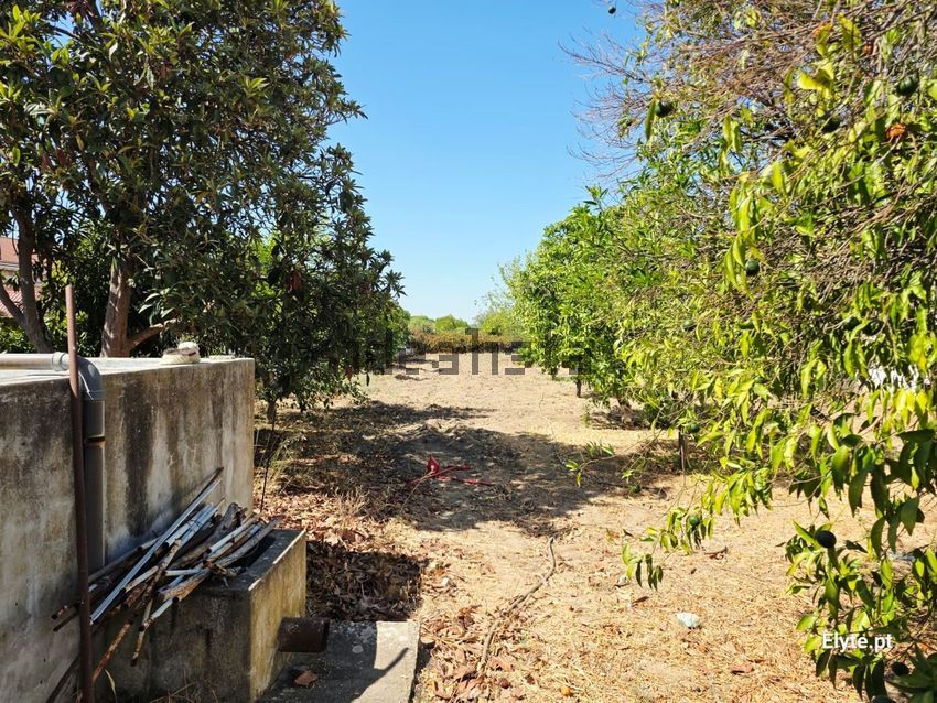 Moradia T3 à venda em Couço, Coruche — foto 39