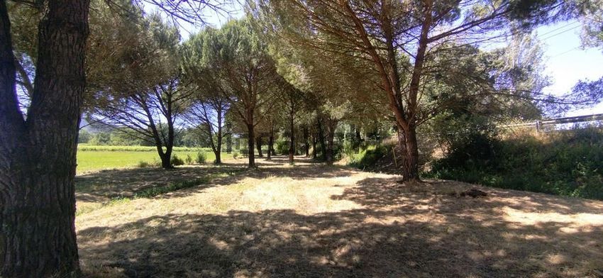 Moradia T6+ à venda em Alcoentre, Azambuja — foto 4
