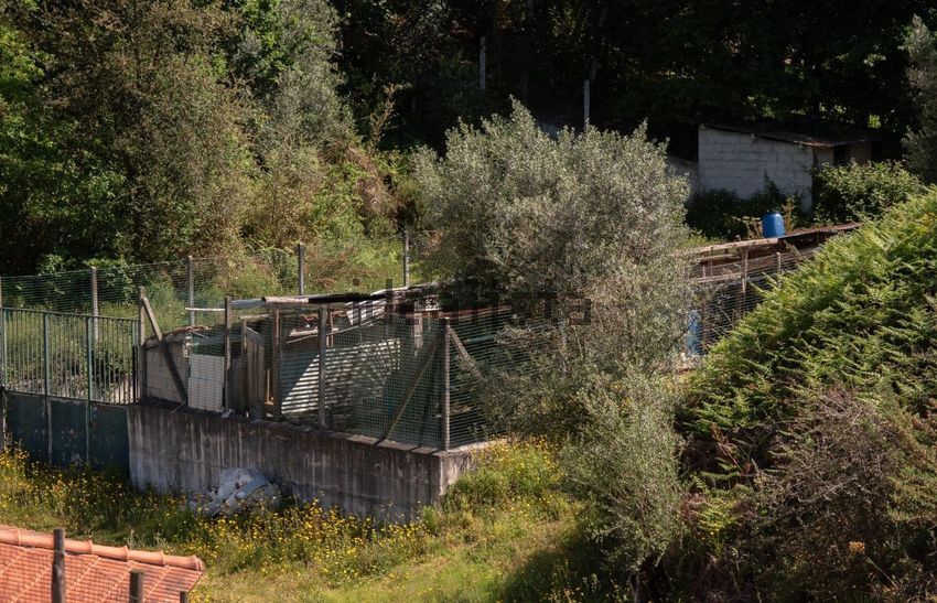 Moradia T4 à venda em Canedo de Basto e Corgo, Celorico de Basto — foto 34