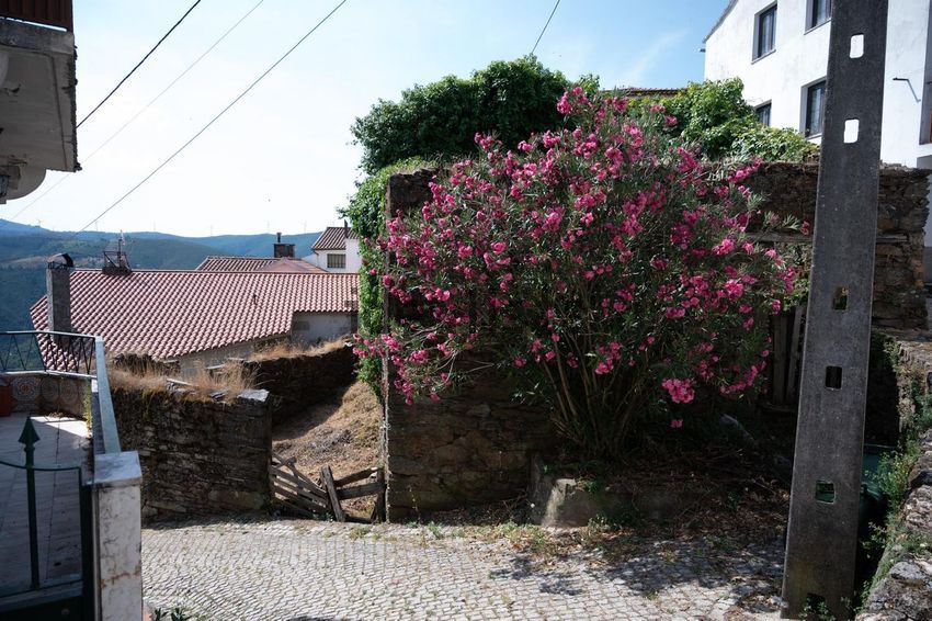 Moradia T4 à venda em Cepos e Teixeira, Arganil — foto 4