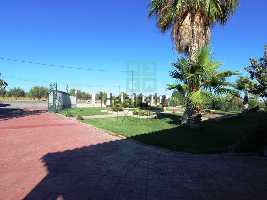 Moradia T4 à venda em Nossa Senhora da Expectação, Campo Maior — foto 7