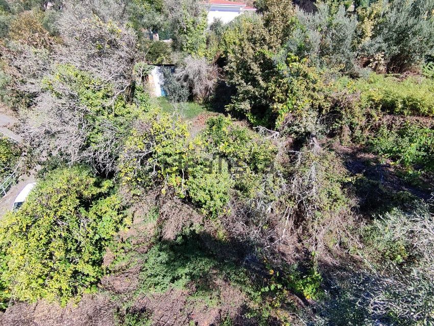 Moradia T5 à venda em Codeçoso, Celorico de Basto — foto 11