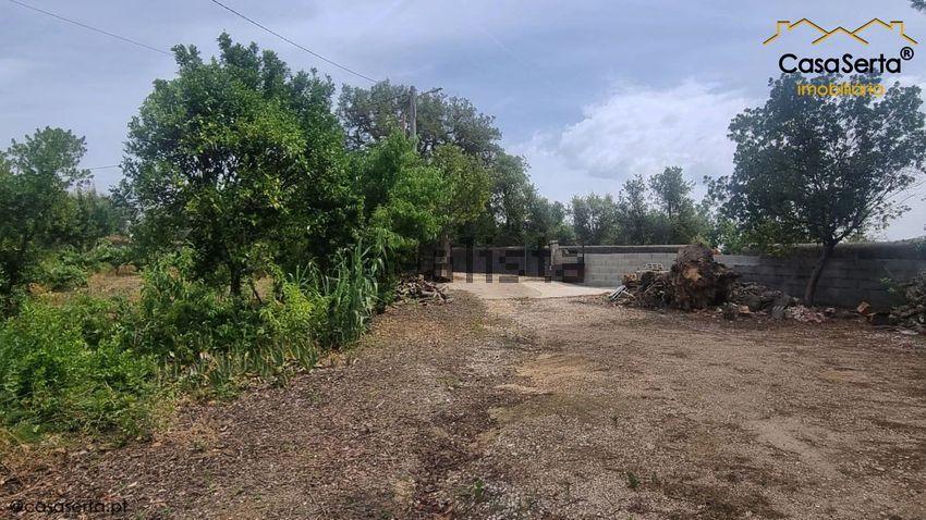 Moradia T3 à venda em Cernache do Bonjardim, Nesperal e Palhais, Sertã — foto 22