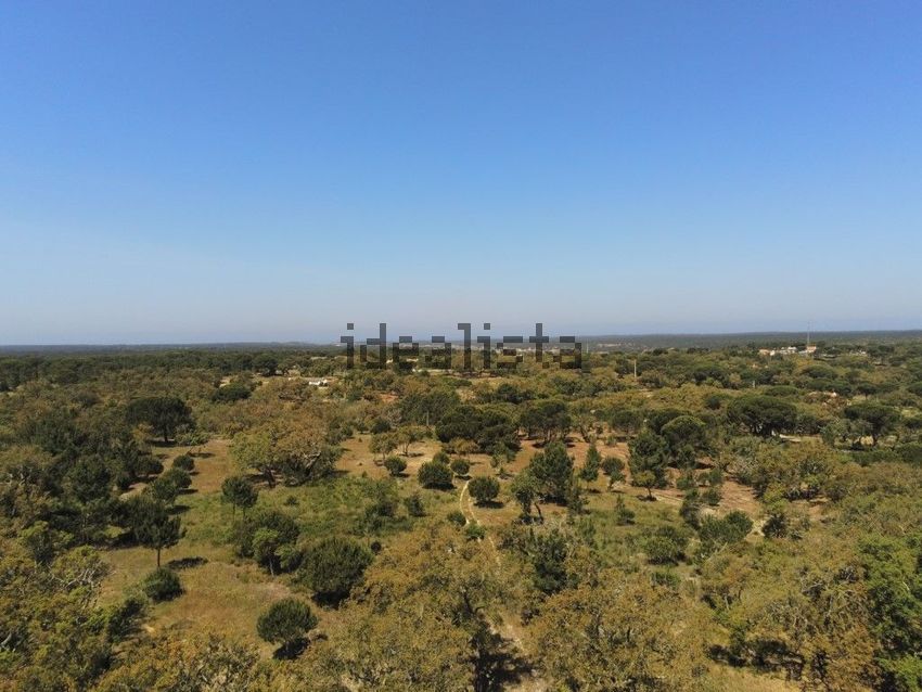 Moradia T1 à venda em Melides, Grândola — foto 24