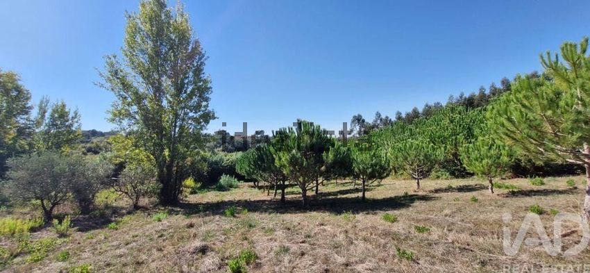 Moradia T4 à venda em Benedita, Alcobaça — foto 4