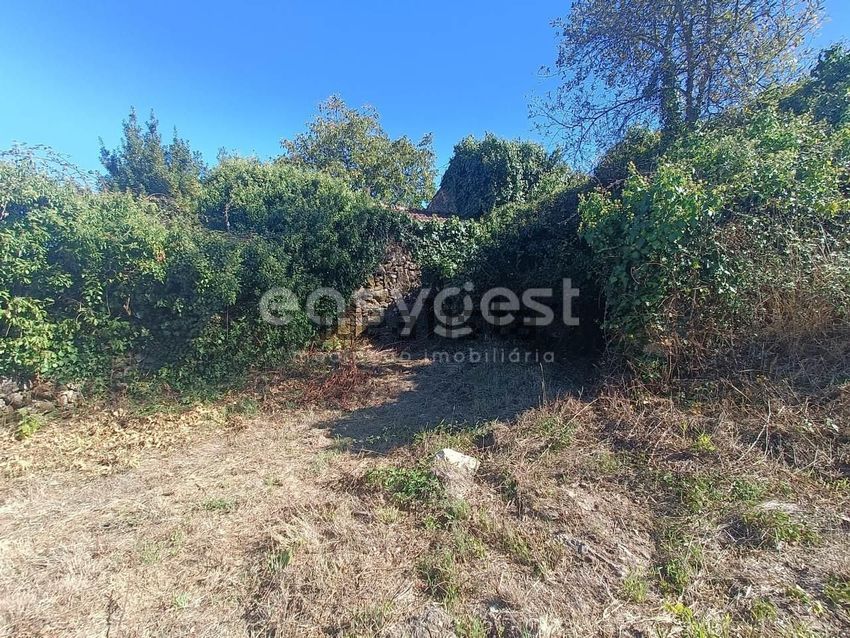 Moradia T1 à venda em Canas de Santa Maria, Tondela — foto 18