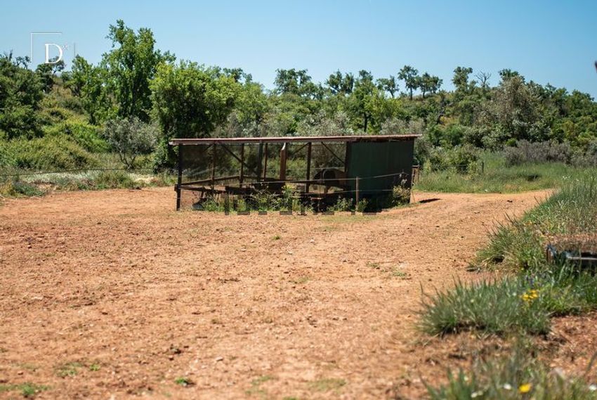 Moradia T2 à venda em Relíquias, Odemira — foto 34