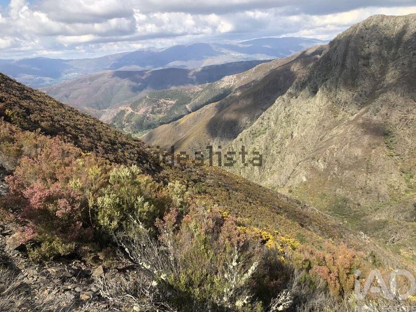 Moradia T4 à venda em Carvalhais e Candal, São Pedro do Sul — foto 16