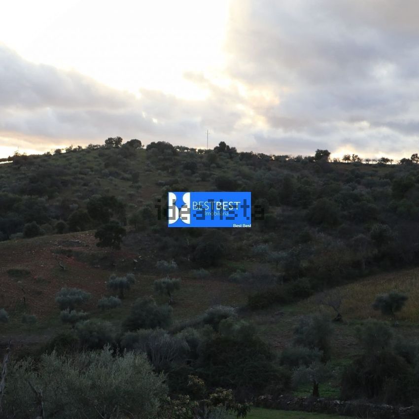 Moradia T2 à venda em Alfândega da Fé, Alfândega da Fé — foto 21