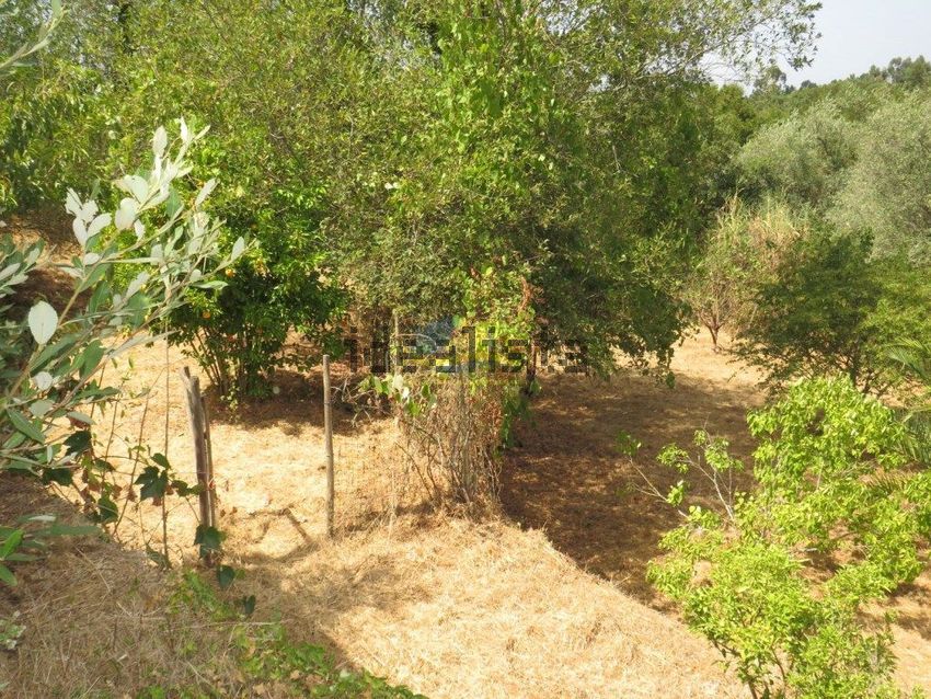 Moradia T3 à venda em Vila Nova, Miranda do Corvo — foto 19