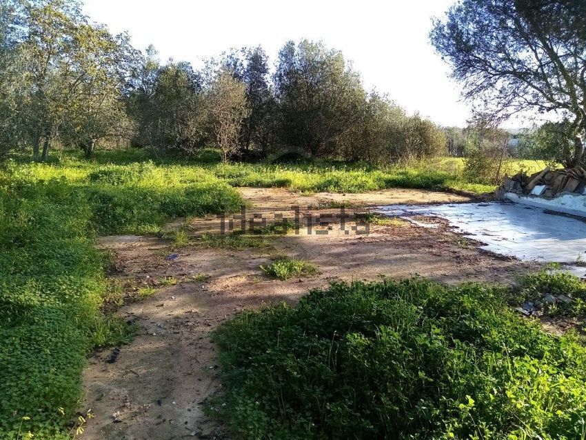 Moradia T1 à venda em Quarteira, Loulé — foto 13