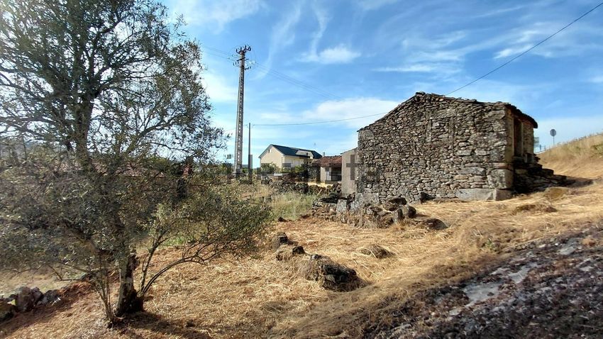 Moradia T2 à venda em Sequeiros e Gradiz, Aguiar da Beira — foto 17