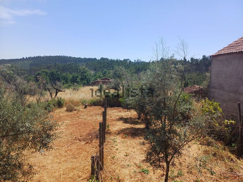 Moradia T1 à venda em Graça, Pedrógão Grande — foto 7