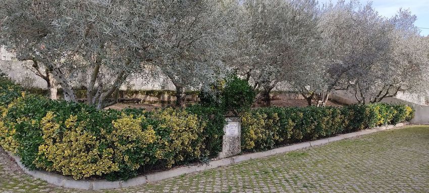 Moradia T6+ à venda em Parambos, Carrazeda de Ansiães — foto 14