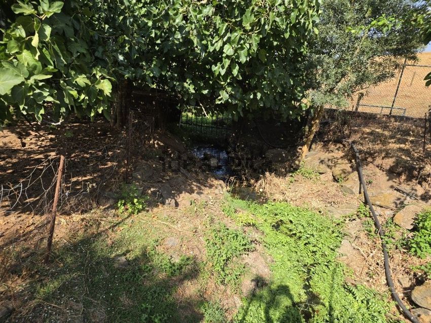 Moradia T3 à venda em Nossa Senhora da Conceição e São Bartolomeu, Vila Viçosa — foto 5