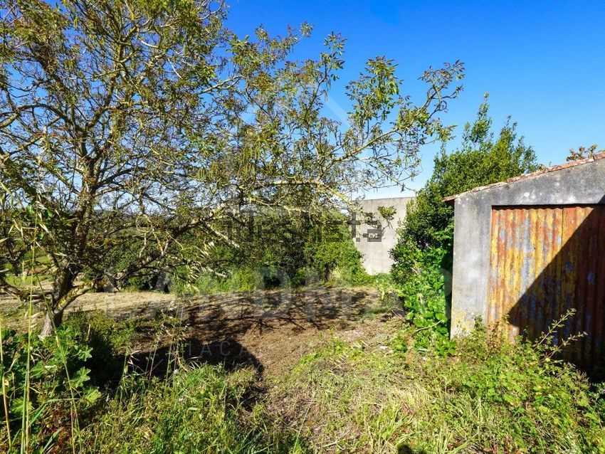 Moradia T2 à venda em Maiorga, Alcobaça — foto 18