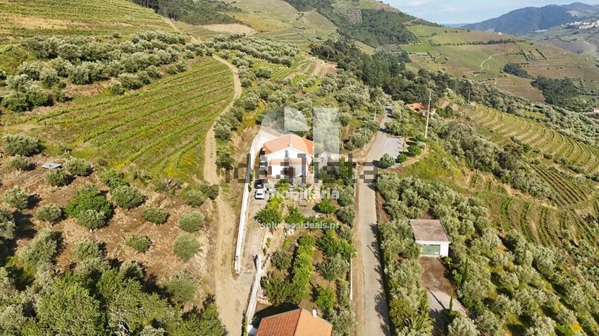 Moradia T3 à venda em Covas do douro, Sabrosa — foto 33