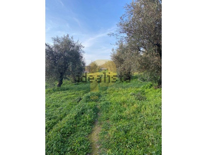 Moradia T4 à venda em Santiago Maior, Castelo de Vide — foto 28