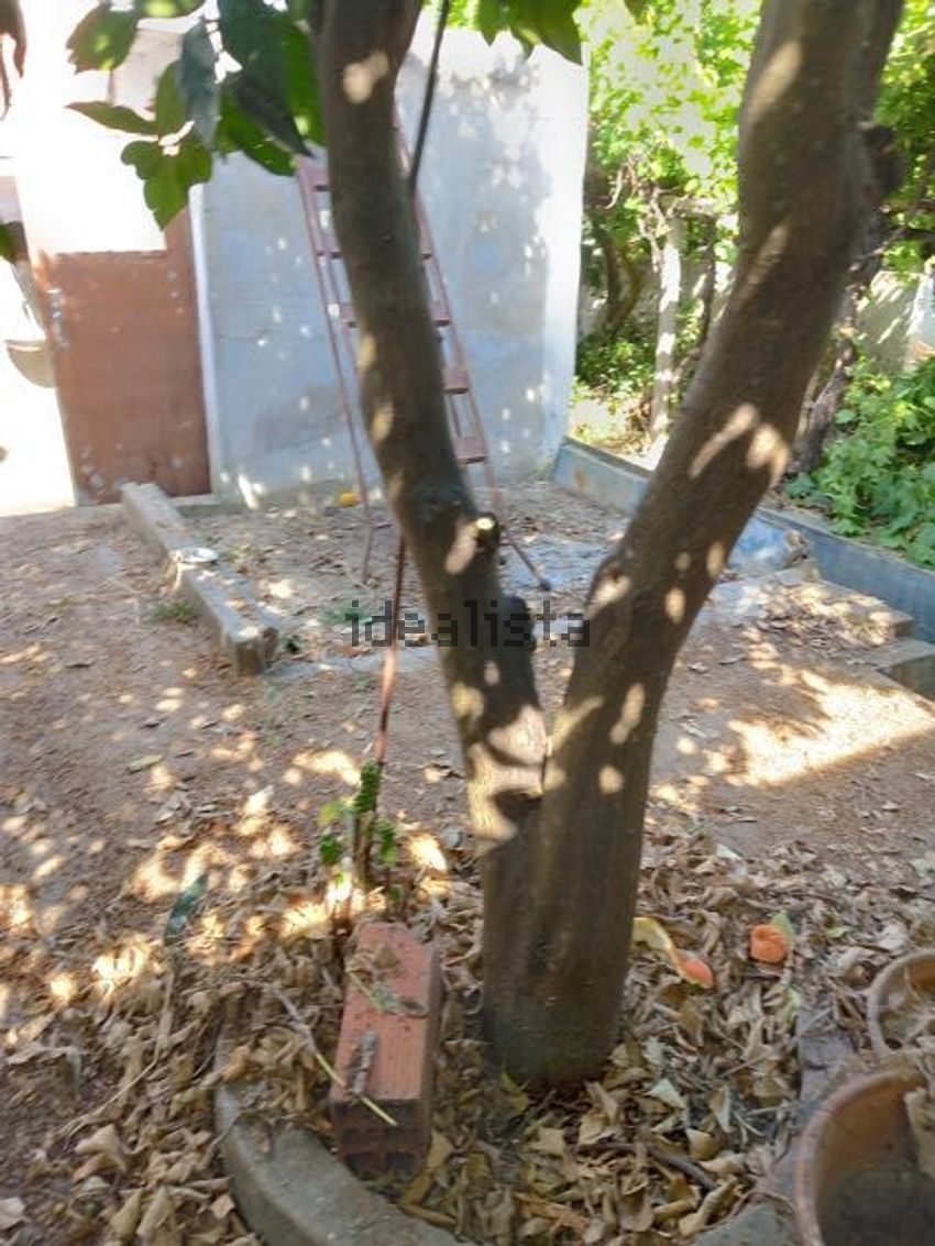 Moradia T3 à venda em Cabeção, Mora — foto 12