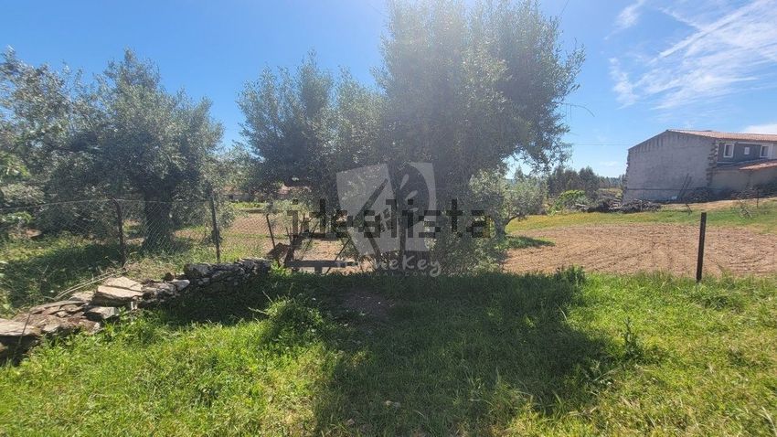 Moradia T0 à venda em Fratel, Vila Velha de Ródão — foto 25