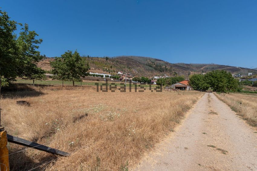 Moradia T6+ à venda em Pomares, Arganil — foto 21