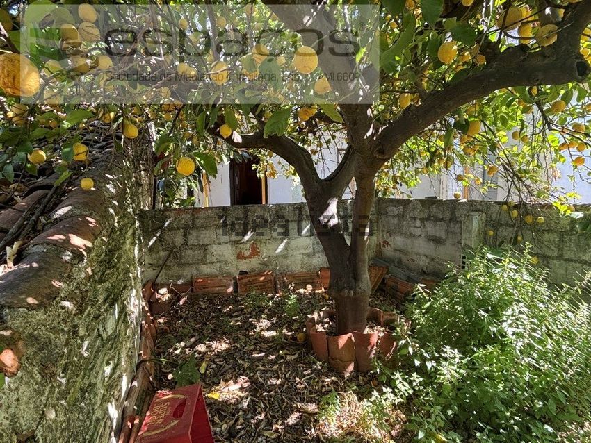 Moradia T3 à venda em Rosmaninhal, Idanha-a-Nova — foto 30