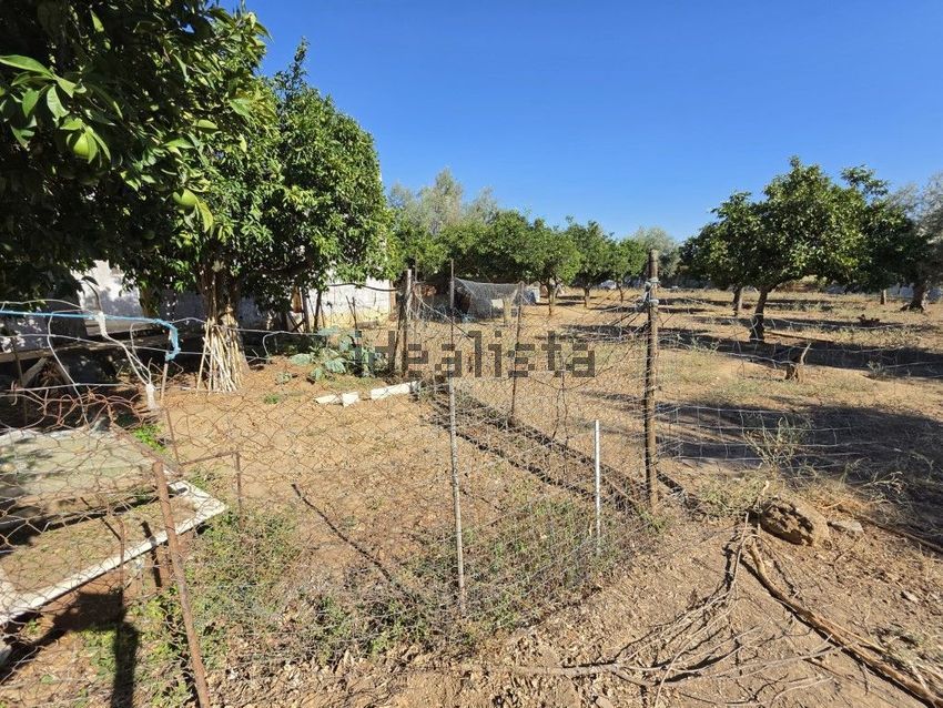 Moradia T3 à venda em Bencatel, Vila Viçosa — foto 5