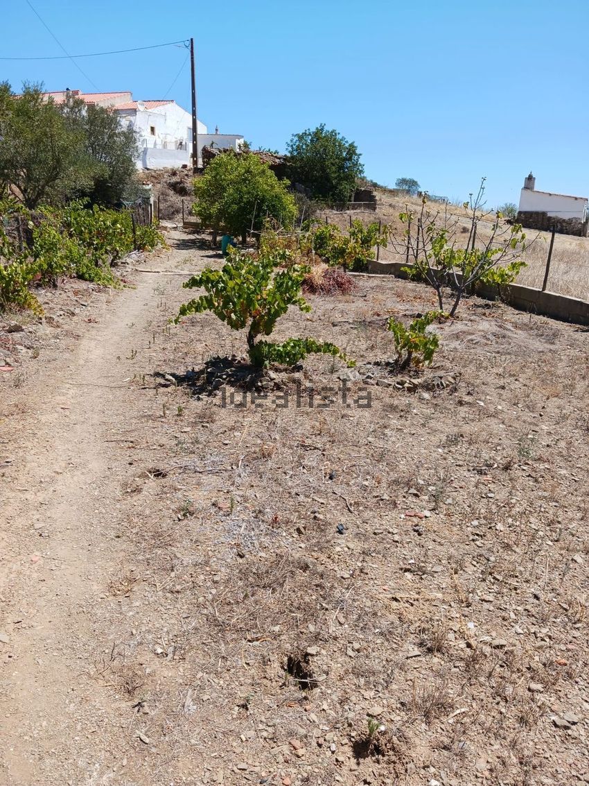 Moradia T2 à venda em Martim Longo, Alcoutim — foto 34