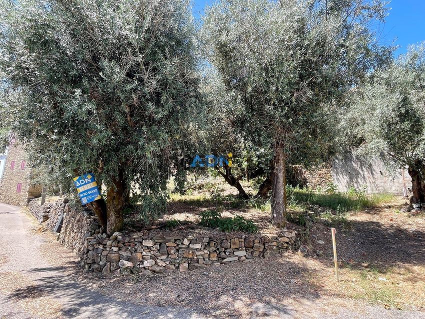 Moradia T2 à venda em Montes da Senhora, Proença-a-Nova — foto 16