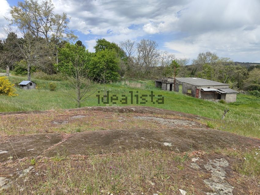 Moradia T6+ à venda em Aguiar da Beira e Coruche, Aguiar da Beira — foto 36