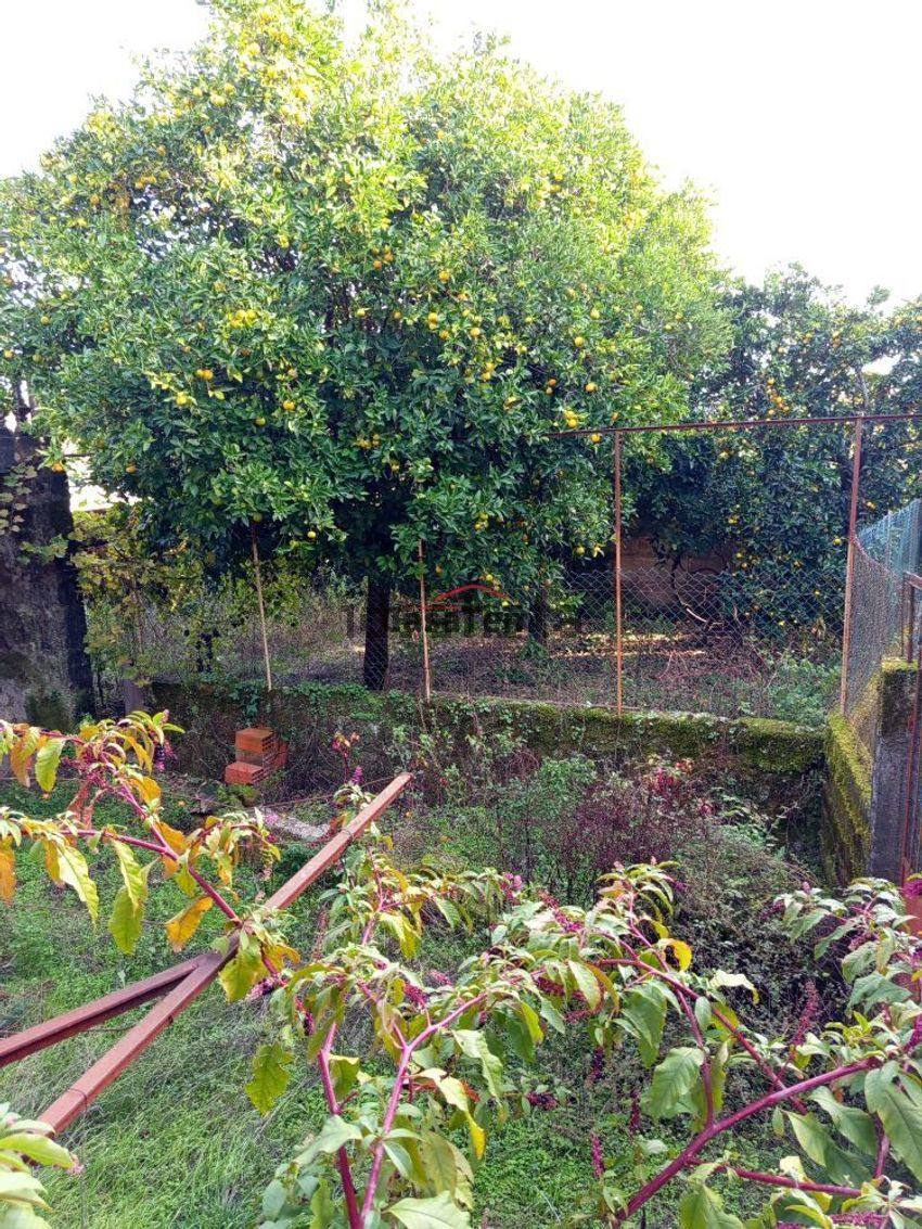 Moradia T1 à venda em Santar e Moreira, Nelas — foto 9