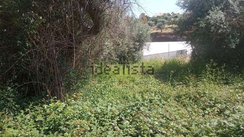 Moradia T4 à venda em Cebolais de Cima e Retaxo, Castelo Branco — foto 12