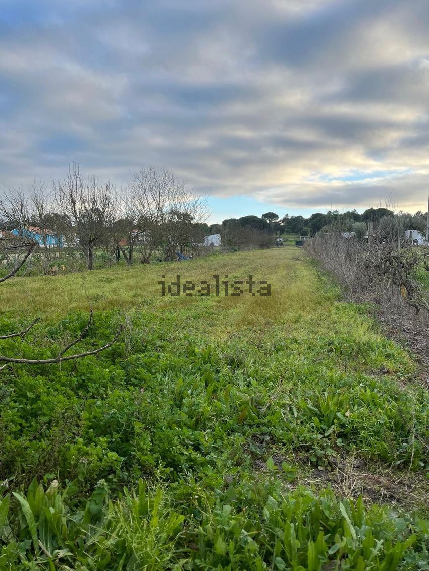 Moradia T6+ à venda em Couço, Coruche — foto 9