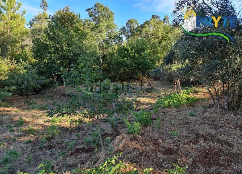 Moradia T0 à venda em Castelo, Sertã — foto 17