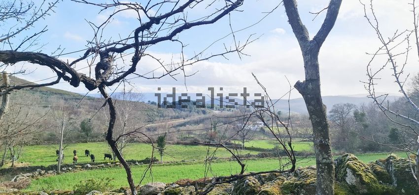 Moradia T2 à venda em Vilar e Viveiro, Boticas — foto 22