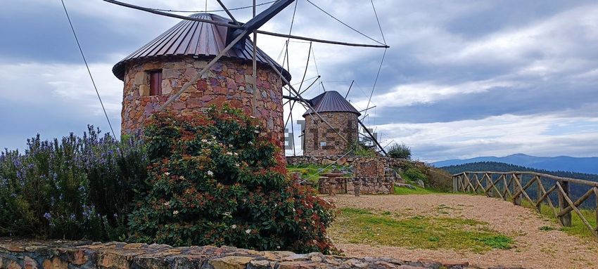 Moradia T6+ à venda em São Pedro de Alva e São Paio de Mondego, Penacova — foto 22