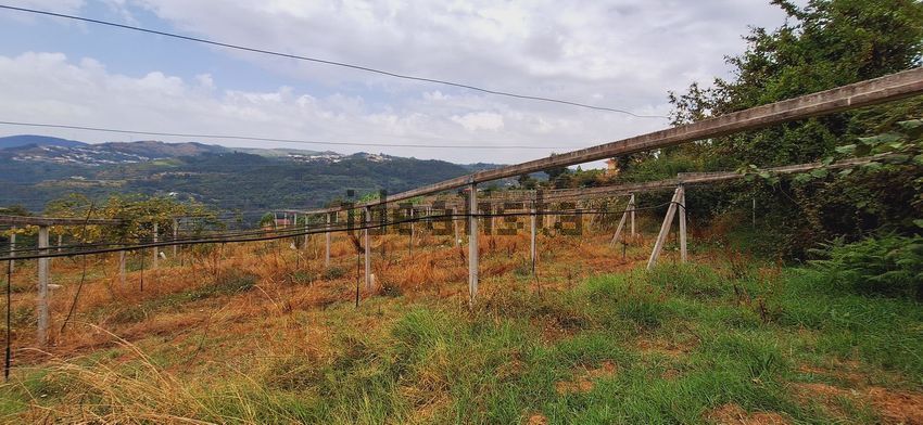 Moradia T6+ à venda em Santa Maria de Sardoura, Castelo de Paiva — foto 28