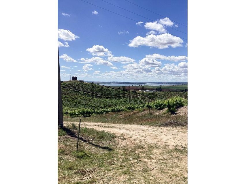 Moradia T2 à venda em Ervidel, Aljustrel — foto 9