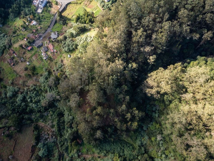 Moradia T2 à venda em Santo António da Serra, Machico — foto 28