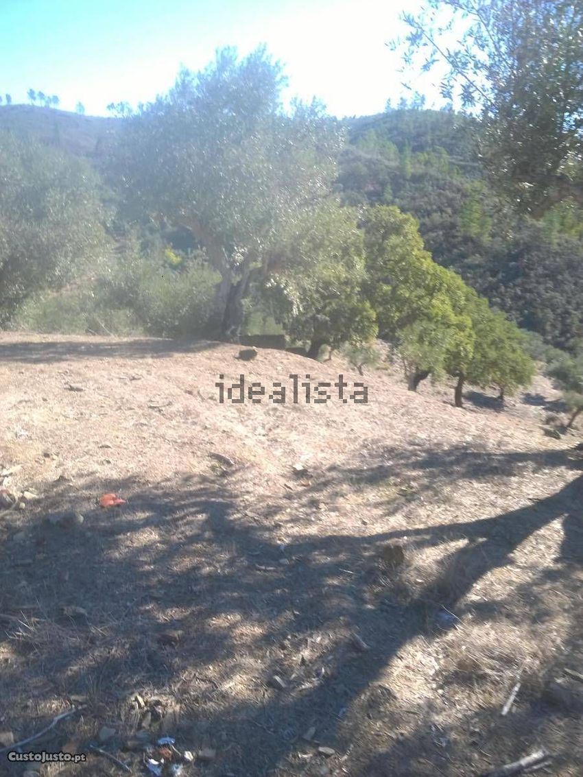 Moradia T4 à venda em Fratel, Vila Velha de Ródão — foto 9