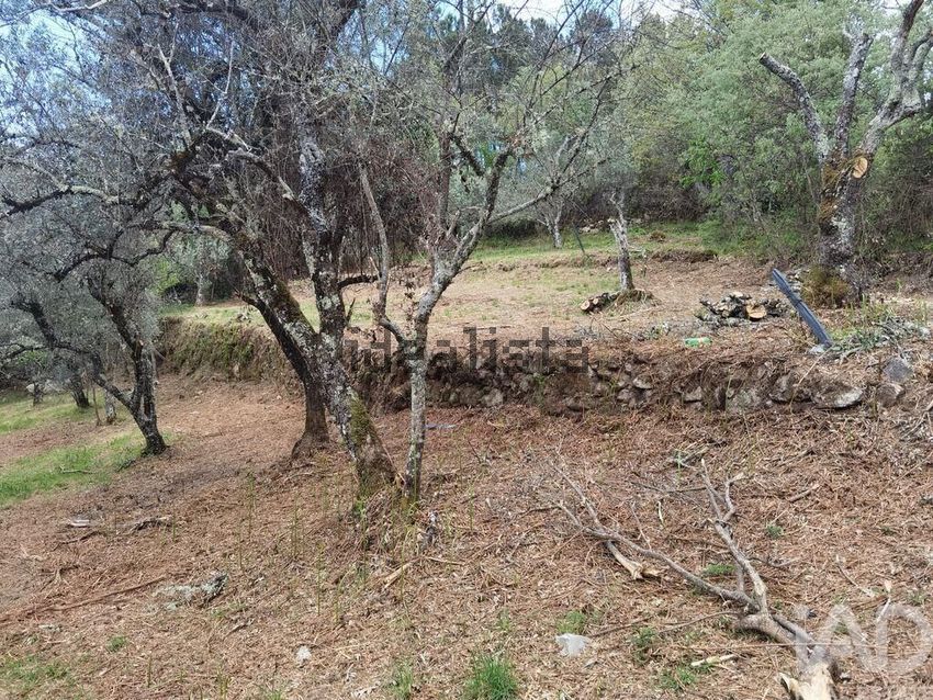 Moradia T2 à venda em Aldeias e Mangualde da Serra, Gouveia — foto 7
