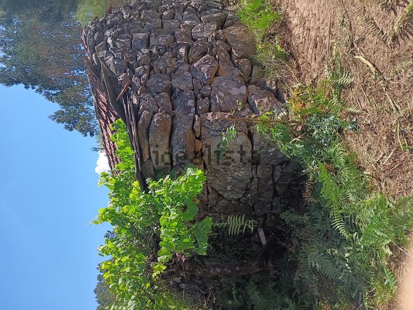 Moradia T1 à venda em São João da Serra, Oliveira de Frades — foto 4