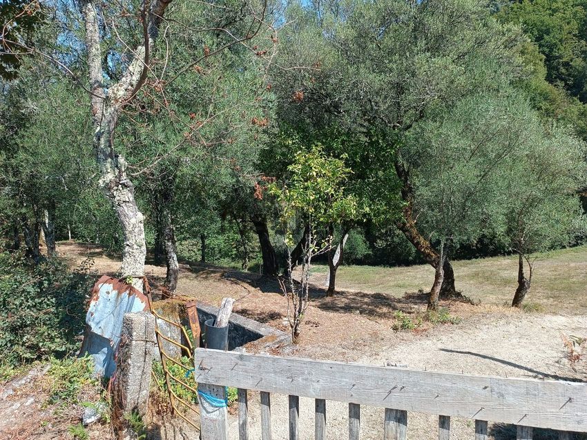 Moradia T2 à venda em Salamonde, Vieira do Minho — foto 14