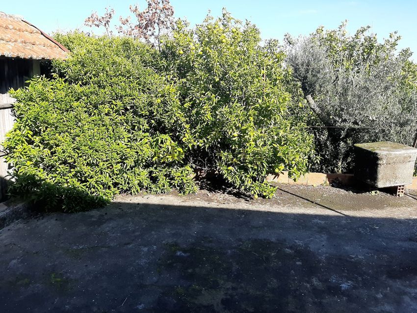 Moradia T3 à venda em Escariz, Arouca — foto 18