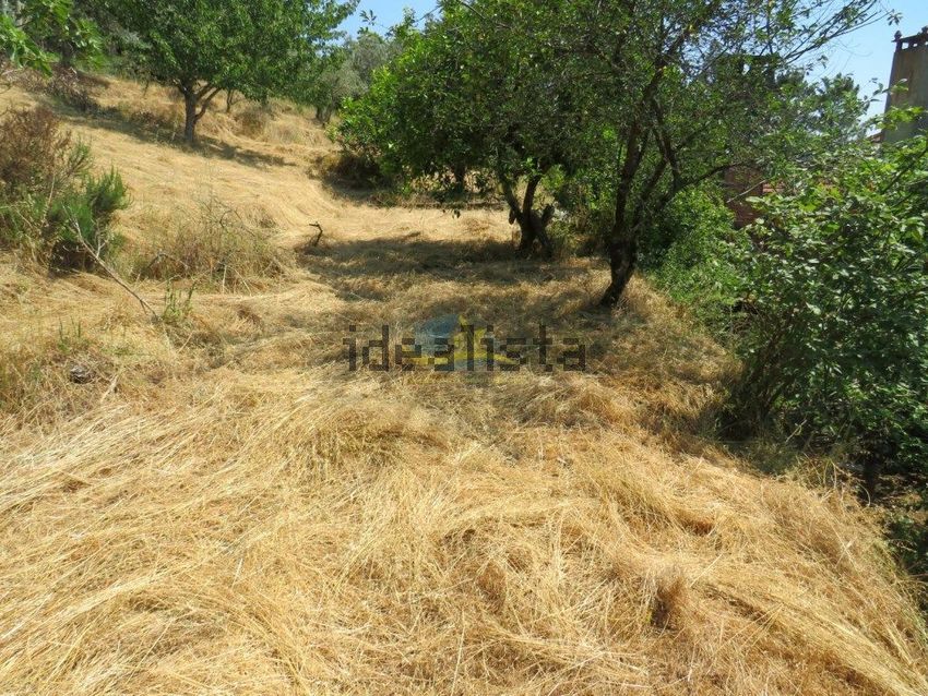 Moradia T3 à venda em São Miguel, Santa Eufémia e Rabaçal, Penela — foto 37