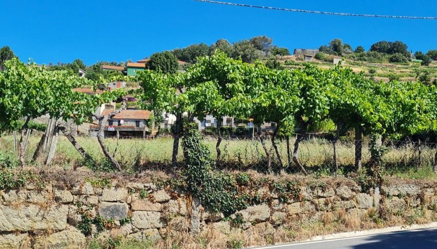 Moradia T1 à venda em Gestaçô, Baião — foto 26